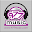 .977 MUSIC Download on Windows