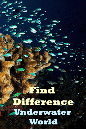 免費下載家庭片APP|Find Diff Underwater World app開箱文|APP開箱王