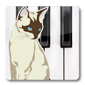 Cat Piano 2