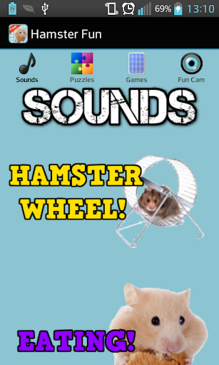 Hamster Games