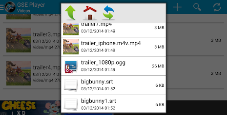 GSE VIDEO PLAYER poster 16