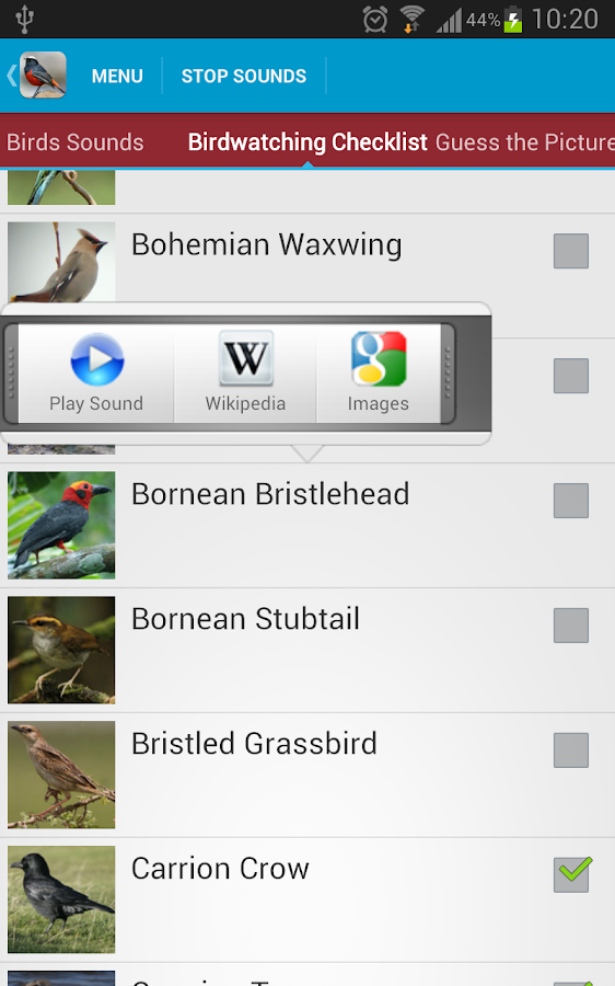Asian Birds Sounds Free Android Apps on Google Play