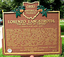 Langstroth Cottage / Lorenzo L