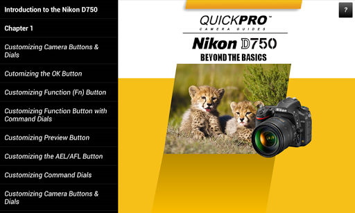 Guide to Nikon D750 Beyond