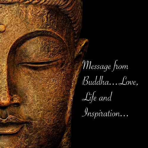 Buddha Quotes