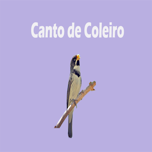 Cantos de coleiro LOGO-APP點子