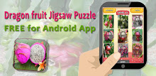 Dragon fruit Jigsaw Puzzles APK