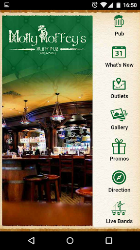 Molly Roffey's Irish Pub