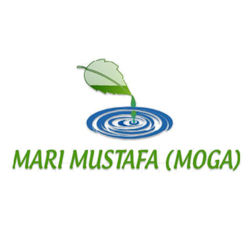 MARI MUSTAFA MOGA