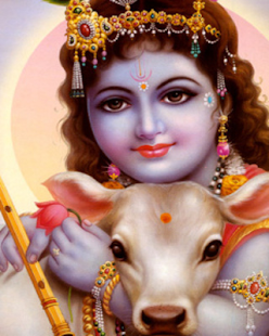 Free Lord Krishna's Wallpaper APK for PC