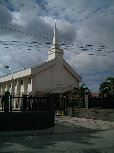 The Church of Jesus Christ of Latter Day Saint