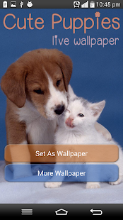 App cute Puppies Live Wallpaper apk for kindle fire ...