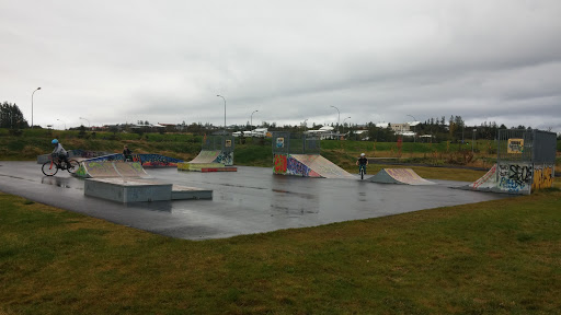 Gufunes Skatepark
