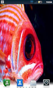 Lastest Color Fish LWP Pro APK for Android