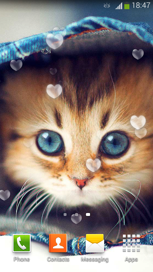  Cute  Cats  Live  Wallpaper  Android Apps on Google Play