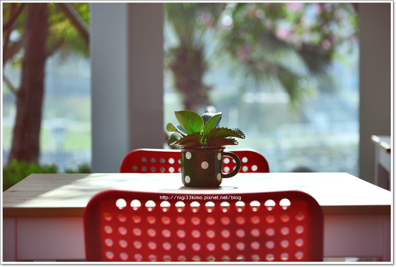 沙丘南特植物咖啡SUCCULENT~愛河之星河畔早午餐秘密基地