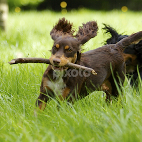 by James Blyth Currie - Uncategorized All Uncategorized