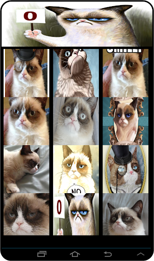 Grumpy Cat Live Wallpapers