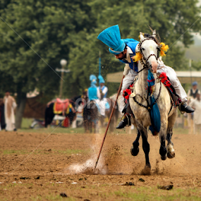 All the Dirt and Splash! by Mudassar Ahmed - Animals Horses