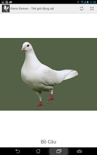 Free Download Glenn Doman - Animal World APK for Android