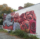 Roses on a Wall