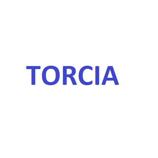 免費下載工具APP|Torcia Subito Pro app開箱文|APP開箱王