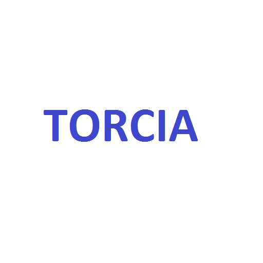 【免費工具App】Torcia Subito Pro-APP點子