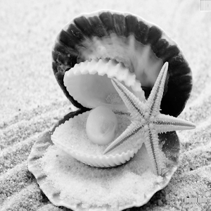 Chelseas.apk Chelsea