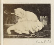 Fotoreproductie van (vermoedelijk) een schilderij met twee katten bij een cake