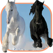 Horse Jigsaw