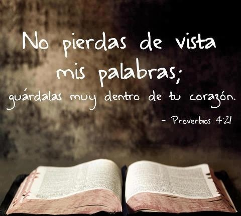 【免費生活App】Imagenes con citas biblicas-APP點子