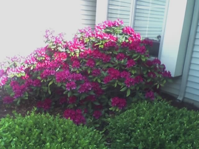 [!cid__06-02-08_1744[2].jpg]