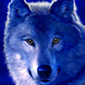 Wolves Wallpapers HD icon