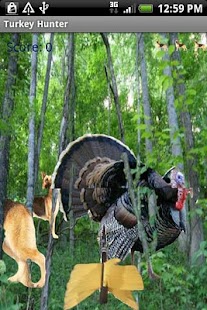 download Turkey Hunter free