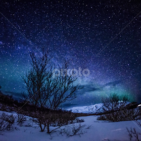 Amazing Night Sky by CK Lam - Landscapes Starscapes