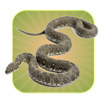 Cover Image of Baixar Snake Touch 2.1.0 APK