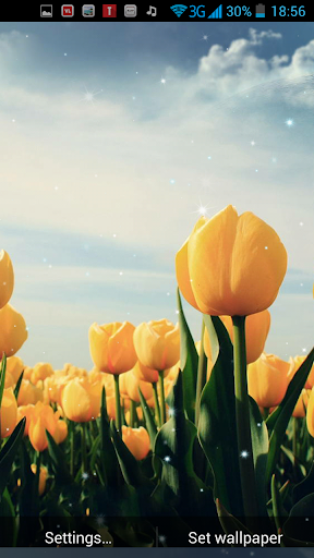 免費下載個人化APP|春天的花朵動態壁紙 app開箱文|APP開箱王