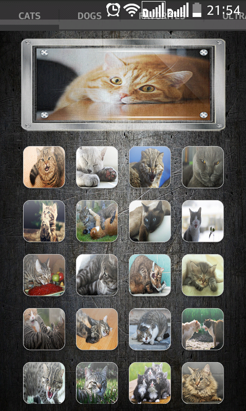Sounds of cats and dogs Screen 1