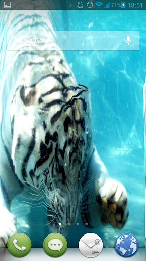 White Tiger Water Touch