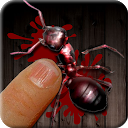 Ant Killer Best Insect Smasher mobile app icon