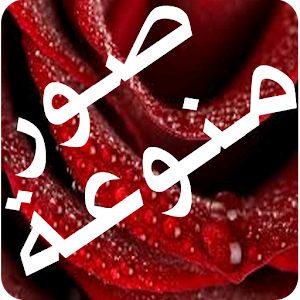 Fresco Paint Lite Apk Download - APKCRAFT