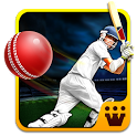 Ultimate Turbo Cricket icon