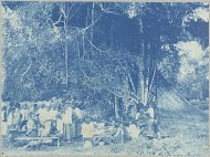 Javanenmarkt onder kankantree op "Ma retraite"