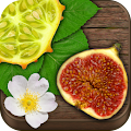 Exotic Fruits &amp; Vegetables PRO Apk