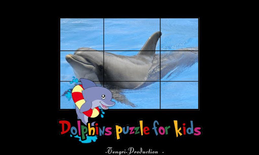 dolphins puzzle for kids