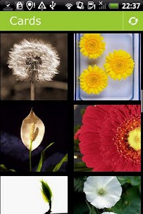 How to mod Flowers Postcards lastet apk for pc