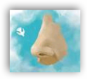 [image[3].png]
