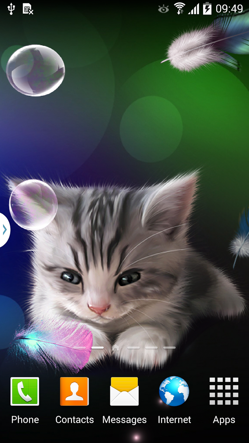 Sleepy Kitten Live Wallpaper Screen 1