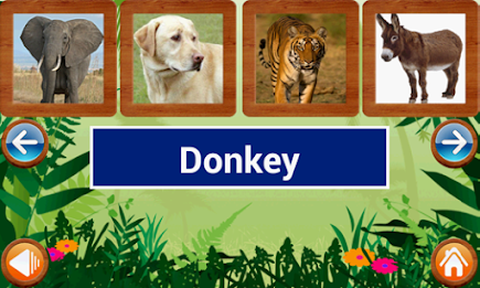 Animals and Birds by Intellisense poster 14