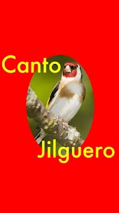 How to download Canto Jilguero patch 1.0 apk for android